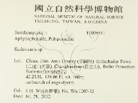 骨皮菌屬藏品圖，第2張