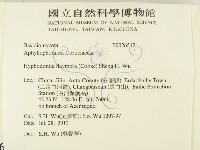 登錄號:F0026512藏品圖，第2張