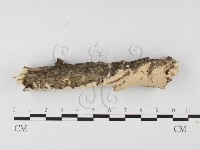 登錄號:F0026512藏品圖，第3張