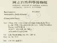 登錄號:F0026513藏品圖，第2張