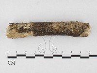 登錄號:F0026513藏品圖，第1張