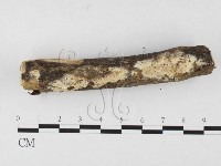 登錄號:F0026513藏品圖，第3張