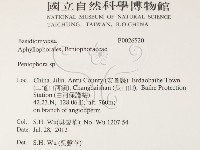 筍殼菌屬藏品圖，第2張
