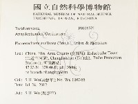 登錄號:F0026521藏品圖，第2張