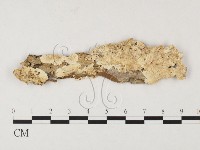 登錄號:F0026522藏品圖，第1張