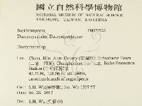 花耳屬藏品圖，第2張