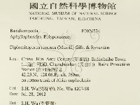 登錄號:F0026524藏品圖，第2張