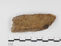 登錄號:F0026525藏品圖，第1張