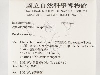 硬孔菌屬藏品圖，第2張