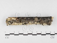 登錄號:F0026527藏品圖，第1張