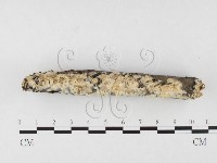 登錄號:F0026527藏品圖，第3張