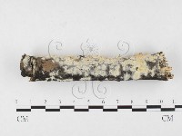 登錄號:F0026527藏品圖，第4張