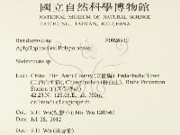 骨皮菌屬藏品圖，第2張