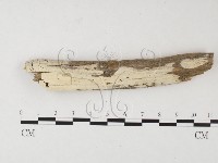 登錄號:F0026531藏品圖，第1張