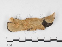 登錄號:F0026532藏品圖，第1張