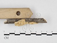 登錄號:F0026534藏品圖，第3張