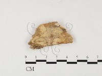 登錄號:F0026535藏品圖，第1張