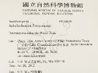 登錄號:F0026536藏品圖，第2張