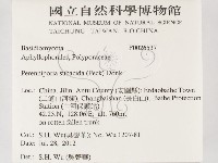 登錄號:F0026537藏品圖，第2張