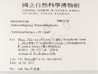 登錄號:F0026538藏品圖，第2張