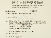 刺革菌屬藏品圖，第2張