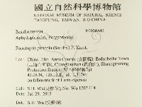 松生擬層孔菌藏品圖，第2張