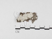 登錄號:F0026546藏品圖，第1張