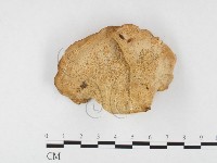 登錄號:F0026547藏品圖，第3張