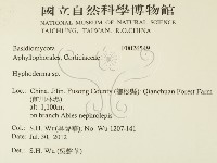 絲皮菌屬藏品圖，第2張