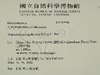 登錄號:F0026550藏品圖，第2張