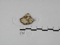 登錄號:F0026550藏品圖，第1張