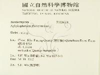 骨皮菌屬藏品圖，第2張