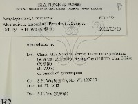 登錄號:F0026552藏品圖，第2張