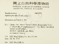 登錄號:F0026554藏品圖，第2張