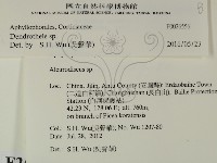 登錄號:F0026556藏品圖，第2張