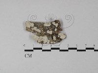 登錄號:F0026556藏品圖，第1張