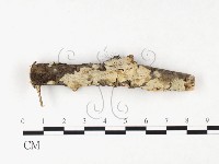 登錄號:F0026557藏品圖，第1張