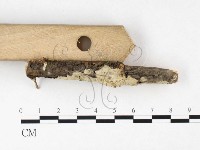 登錄號:F0026557藏品圖，第3張