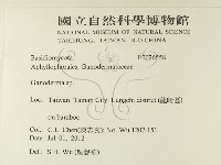 靈芝屬藏品圖，第2張