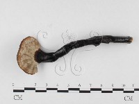 登錄號:F0026559藏品圖，第3張