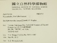 登錄號:F0026562藏品圖，第2張