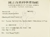 登錄號:F0026563藏品圖，第2張