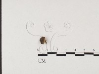 登錄號:F0026563藏品圖，第1張