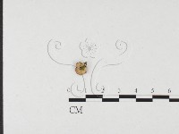 登錄號:F0026563藏品圖，第3張