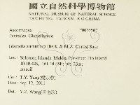 登錄號:F0026567藏品圖，第2張