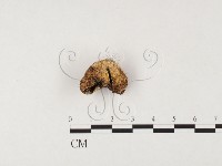 登錄號:F0026567藏品圖，第1張