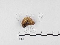 登錄號:F0026567藏品圖，第3張