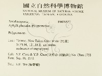 多孔菌屬藏品圖，第2張