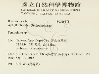 筍殼菌屬藏品圖，第2張