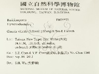 登錄號:F0026572藏品圖，第2張